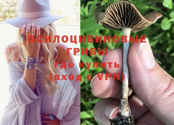 героин Белокуриха