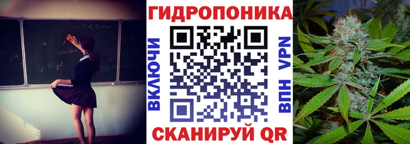 Конопля планчик  Севск 